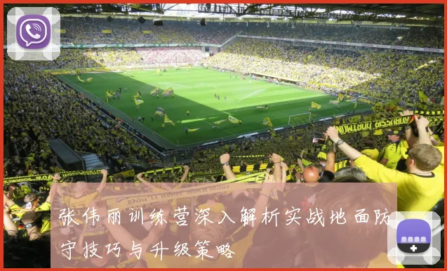 张伟丽训练营深入解析实战地面防守技巧与升级策略